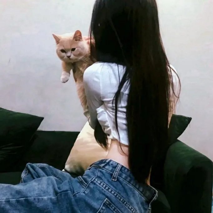 恋姬无双